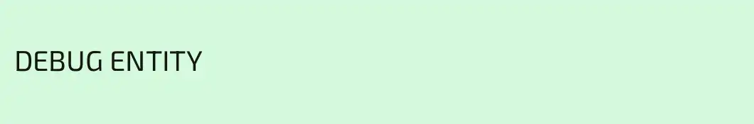 DEBUG ENTITY
